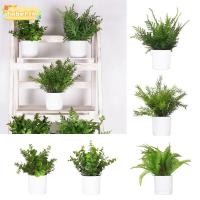 ราคา แน่นอน1 เฟิร์นหญ้าบอนไซเทียม สีเขียวสีขาวกระถางดอกไม้จําลองพืชกระถาง ที่มีคุณภาพสูงภาพอุปกรณ์ประกอบฉากกันน้ําหญ้าสีเขียวสก์ท็อปเครื่องประดับ หน้าต่าง (54607411279)