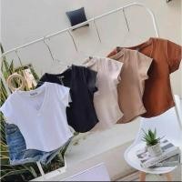 ราคา เสื้อยืดแฟชั่นผู้หญิง เสื้อยืด คอวี ชายโค้ง Size021 (24231932818)