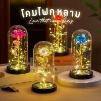 ราคา โคมไฟ LED ดอกกุหลาบ สำหรับตกแต่งห้อง พร้อมโคมแก้วทรงกลม ของขวัญวาเลนไทน์สุดโรแมนติก (46705686463)