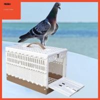 ราคา Predolo กรงนกพิราบน้ําหนักเบา Fodable กรงเพาะพันธุ์พลาสติก Pet Pigeon Training CAGE สําหรับเที่ยวบินท่องเที่ยว (53308362268)