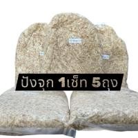 ราคา ขนมปังตกปลา ขนมปังสด มัดจุก 1ชุด 5ถุง ปังสด ปั่นใหม่ (55107735278)