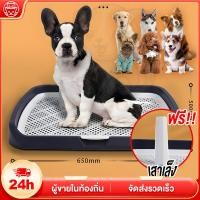 ราคา ถาดรองฉี่สุนัข ห้องน้ำน้องหมาขอบสี่เหลี่ยม มีตะแกรงรองถาด 2 ชั้น ถาดฝึกปัสสาวะสุนัข ทำความสะอาดง่าย (24714293639)