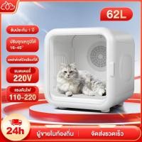 ราคา แมว ไดร์เป่าผม 62 82L ของใช้แมว เครื่องเป่าขนแมว อาบน้ําแมว ตู้อบแมว ตั้งเวลาได้ ไดร์เป่าขนแมว (29425138487)