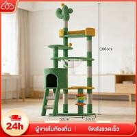 ราคา คอนโดแมว คอนโดแมวไม้ 200 170CM บ้านแมว เหมาะสำหรับเลี้ยงน้องแมว 4 6ตัว เสาลับเล็บ ขนาดใหญ่ (25632563754)
