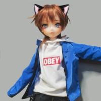 ราคา Bjd วิกผมหางหมาป่า 1 6 1 31 4 สําหรับตุ๊กตา (17888661500)