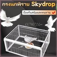 ราคา เพนียดดักนก กรงกับดักนกพิราบ กรกดักนกเขา กรงนกพิราบ ที่ดักนก กรงนกทางเดียว จับภาพต่อเนื่อง ทำความสะอาดง่าย (54552926003)