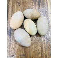 ราคา หินเรืองแสงในที่มืด หินธรรมชาติ หินมงคล (14690265260)