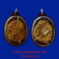 ราคา รกแมว ลูกกรอกแมว เครื่องรางนำโชค การงาน การเงิน โชคลาภไม่ขาดสาย (11944826445)