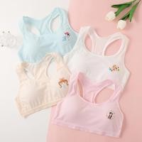 ราคา ชุดชั้นในสไตล์นักเรียนสำหรับวัยรุ่น และเสื้อกั๊กฝ้ายสำหรับกีฬา (41679123416)