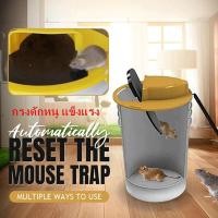 ราคา COD Mouse Trap กรงดักหนู แข็งแรง ทนทาน กับดักหนู ที่ดักหนู กรงหนู กรงดักหนูแบบสปริง (9656019945)