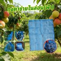 ราคา ถุงตาข่ายไนล่อนหูรูด ใช้ห่อผลไม้กันแมลง ใส่ขวด ปลา หอย กบ แข็งแรงทนทาน มีหลายขนาด (51255050939)