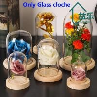 ราคา ANTINON แก้ว Clche พืช Terrarium โต๊ะ Jar Terrarium Fairy ไฟดอกไม้กล่องเก็บ (44508583940)