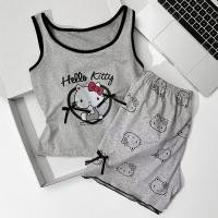 ราคา ชุดเซ็ตเด็กผู้หญิง Hello Kitty เสื้อแขนกุดลายน่ารัก กางเกงขาสั้น ใส่สบาย หน้าร้อน (52905458948)
