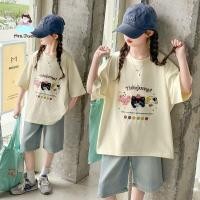 ราคา เสื้อยืดเด็กผู้หญิงลายแมวน่ารัก แขนสั้น ผ้าฝ้าย ทรงหลวม สไตล์เกาหลี ใส่สบาย แฟชั่นหน้าร้อน (50808068966)