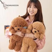 ราคา ตุ๊กตาสุนัขพุดเดิ้ลขนาดใหญ่ พร้อมกระเป๋าเป้สำหรับนักเรียน น่ารัก เหมาะสำหรับของขวัญเด็ก (55308447515)