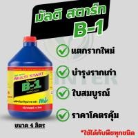 ราคา B1 น้ำยาเร่งราก ถูกสุดๆ 4 000 cc (13239754037)