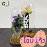 ราคา โดมแก้ว ใส่โมเดล โดมแก้ว หุ่นยนต์ โหลแก้ว ของสะสม ทรงสูงฐานไม้สีโอ๊ด น้ำตาลลายไม้ กระจกชนิดบาง (16174031593)
