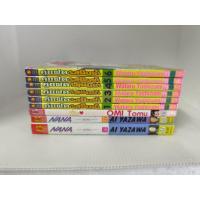 ราคา หนังสือการ ์ตูน คู่แฝดรสมิ้นต์ 6 เล่มจบ Wataru Yoshizumi นานะ Nana 16 17 คุณหมาป่าที่รัก (19952778917)