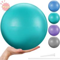 ราคา WYJS ลูกบอลโยคะ ฟิตเนส PVC พิลาทิสออกกําลังกายลูกบอลยิม อุปกรณ์ฝึกซ้อม Anti Burst Balance Stability ลูกบอลออกกําลังกายในร่ม (55157382327)