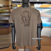 ราคา พร้อมสต็อก เสื้อคู่ พิมพ์ลายช้าง ไม่จํากัดเพศ หลวม100 พรีเมี่ยมผ้าฝ้ายคอกลมแขนสั้นเสื้อยืด (43429043096)