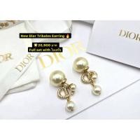 ราคา New Dior Tribales Earring (48505417544)