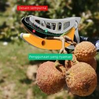 ราคา หยิบ ตัด เลื่อย3in1 กรรไกรตัดกิ่ง กรรไกรตัดผลไม้ solo กรรไกรตัดหนีบ กรรไกรตัดกิ่งด้ามยาว กรรไกรตัดกิ่งด้ามยาว เสายืดไสล (25083783670)