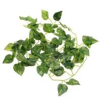 ราคา FISI พวงมาลัยพืช Scindapsus Aureus สําหรับสัตว์เลื้อยคลาน Terrarium (57007739180)