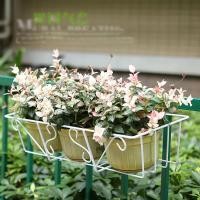 ราคา กระถางแขวนระเบียง ชั้นวางต้นไม้ ตะขอมีความแข็งแรง ทรงยาว ทนทาน สําหรับแขวนกระถางดอกไม้ (24695022952)