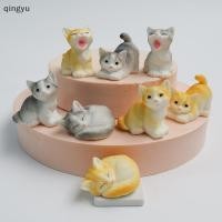 ราคา ชิงหยู 1ชิ้น ทําเอง ไมโครภูมิทัศน์ตกแต่งบ้านเรซิ่นแมวเครื่องประดับลูกแมวตุ๊กตาสัตว์ขนาดเล็กนางฟ้าสวนตุ๊กตาบ้านตกแต่งหุ้นใ (55258416854)