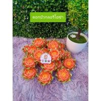 ราคา ของชำร่วย ของแจกงานบวช โปรยทาน พร้อมส่ง (24622181852)