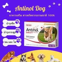 ราคา Antinol DOG 60 แคปซูล หมดอายุ08 2027 แพ็คเกจใหม่ อาหารเสริมบำรุงข้อ ข้ออักเสบ 1 กล่องบรรจุ 60 เม็ด (53157083601)