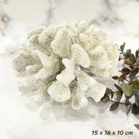 ราคา โมเดลปะการัง ปะการังตกแต่ง ปะการังเทียม พร็อพตกแต่งแนวทะเล ตกแต่งธีมชายหาด ตกแต่งตู้ปลา พร็อพถ่ายรูป (25068057468)