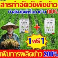 ราคา ซื้อ1ฟรี1 ยาคุม ยาฆ่าหญ้านาข้าว100 ใช้1ครั้ง365วันไม่ขึ้นหญ้า ชีวภาพดูดซึมเผาไหม้ กำจัดวัชพืชใบแคบหลังงอก หญ้านกสีชมพู (45454427714)