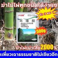 ราคา เม็ดกำจัดต้นไม้ ผงกำจัดต้นไผ่ ยาฆ่ากอไผ่ ยาฆ่าไผ่ กำจัดกอไผ่ ปุ๋ยกำจัดกอไผ่ กำจัดต้นไม้ สารกำจัดต้นไผ่ ผงฆ่ากอไผ่ สารกำจัดก่อไผ่ (24291633943)