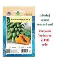 ราคา 5 แถม 1 เมล็ดพันธุ์ มะละกอฮอลแลนด์ สตาร์ เจียไต๋ (28324514929)