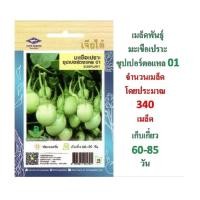 ราคา 5 ฟรี 1 คละได้ทั้งร้าน เมล็ดพันธุ์ มะเขือเปราะ ซุปเปอร์ตอแหล 01 เจียได๋ (7106824359)