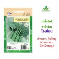 ราคา 5 แถม 1 เมล็ดพันธุ์ คะน้าฮ่องกง โอเชี่ยน เจียไต๋ เก็บเกี่ยว 30 45 วัน (3839152231)