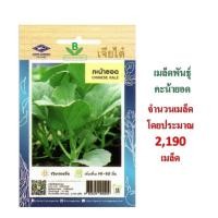 ราคา 5 แถม 1 เมล็ดพันธุ์ คะน้ายอด เจียไต๋ (2469308700)