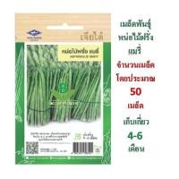 ราคา 5 แถม 1 เมล็ดผัก เมล็๋ดพันธุ์ผัก หน่อไม้ฝรั่ง แมรี่ ตราเจียไต๋ (3702225481)