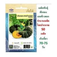 ราคา 5 แถม 1 เมล็ดพันธุ์ ฟักทอง ลายข้าวตอก ตรา เจียไต๋ (2811581397)