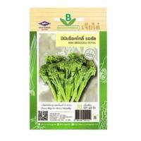 ราคา 5 ฟรี 1 คละได้ทั้งร้าน เมล็ดพันธุ์ มินิบร็อคโคลี่ รอยัล เจียไต๋ (23587442940)