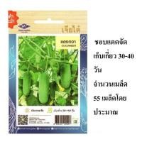 ราคา 5 ฟรี 1 คละได้ทั้งร้าน เมล็ดพันธุ์ แตงกวา เจียไต๋ (2469257270)