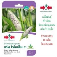 ราคา 5 แถม 1 เมล็ดพันธุ์ ข้าวโพดข้าวเหนียวลูกผสม สวีทไวโอเล็ท ศรแดง (3715769249)