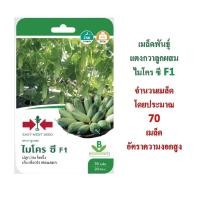 ราคา 5 แถม 1 เมล็ดพันธุ์ แตงกวาลูกผสม ไมโครซี F1 ศรแดง (3307833755)