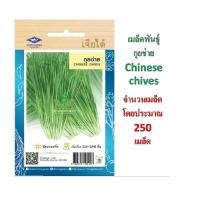 ราคา 5 แถม 1 เมล็ดพันธุ์ กุยช่าย ตรา เจียไต๋ (3002274043)