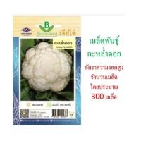 ราคา 5 ฟรี 1 คละได้ทั้งร้าน เมล็ดพันธุ์ กะหล่ำดอก เจียไต๋ (2539215712)