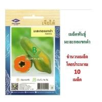 ราคา 5 ฟรี 1 คละได้ทั้งร้าน เมล็ดพันธุ์ มะละกอแขกดำ เจียไต๋ จำนวนบรรจุ 10 เมล็ดโดยประมาณ (2489598675)