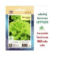 ราคา 5 แถม 1 เมล็ดพันธุ์ ผักกาดหอม เจียไต๋ (2616811763)