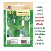 ราคา 5 ฟรี 1 คละได้ทั้งร้าน เมล็ดพันธุ์ แตงร้าน อมตะ 3 เจียไต๋ (7239054755)