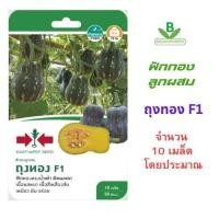 ราคา 5 แถม 1 เมล็ดพันธุ์ ฟักทองลูกผสม ถุงทอง ศรแดง จำนวนโดยประมาณ 10 เมล็ด 50 ตร ม (4912124417)